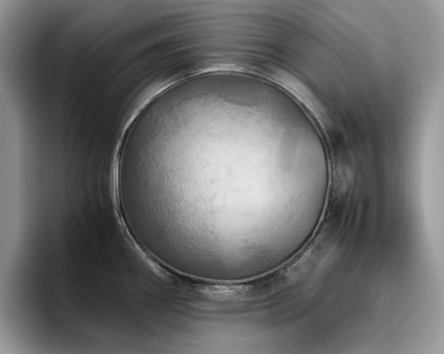 X0000096221290200801181443