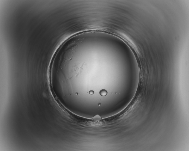 X0000096221291200801181443
