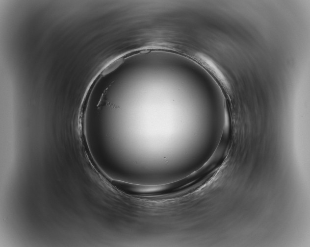 X0000096221292200801181443