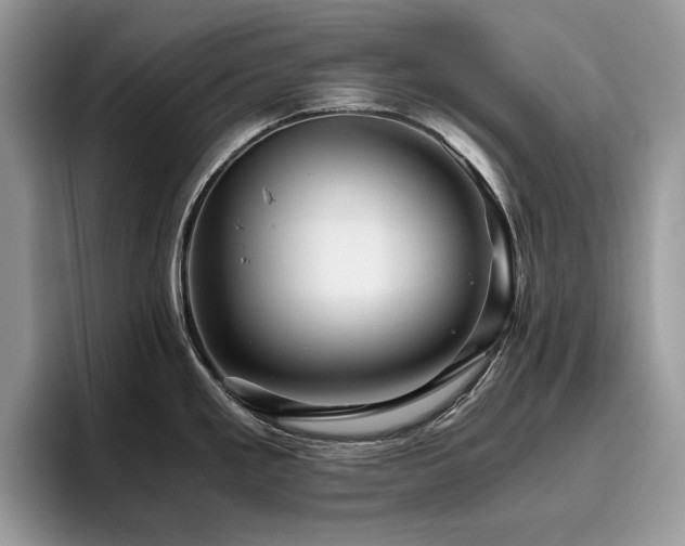 X0000096221293200801181443