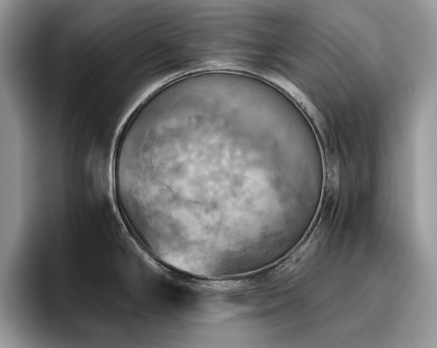 X0000096221294200801181443