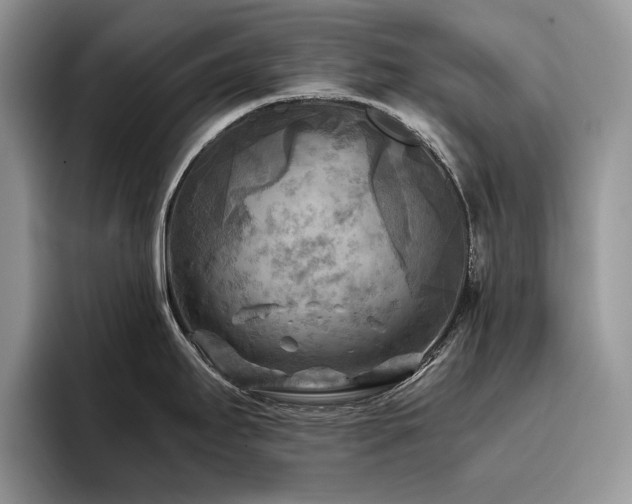 X0000096221295200801181443