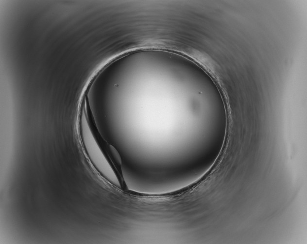 X0000096221296200801181443