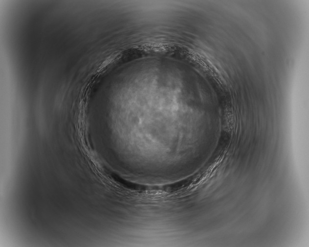 X0000096221297200801181442