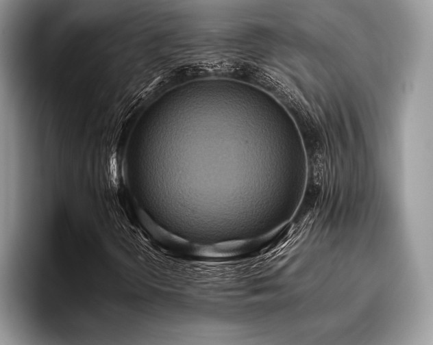 X0000096221298200801181442