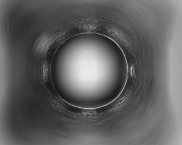 X0000096221299200801181442