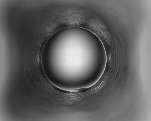 X0000096221300200801181442