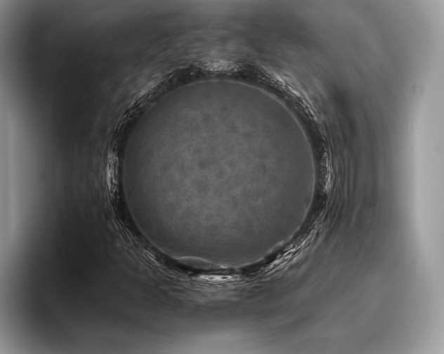 X0000096221301200801181442