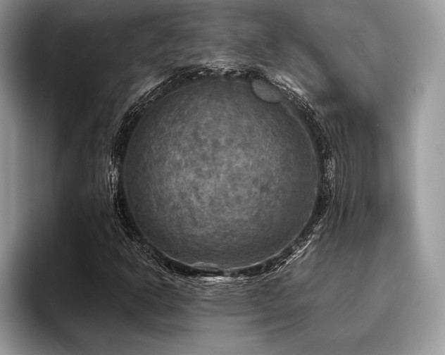 X0000096221302200801181442