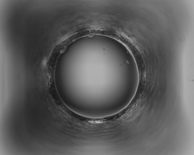 X0000096221303200801181442