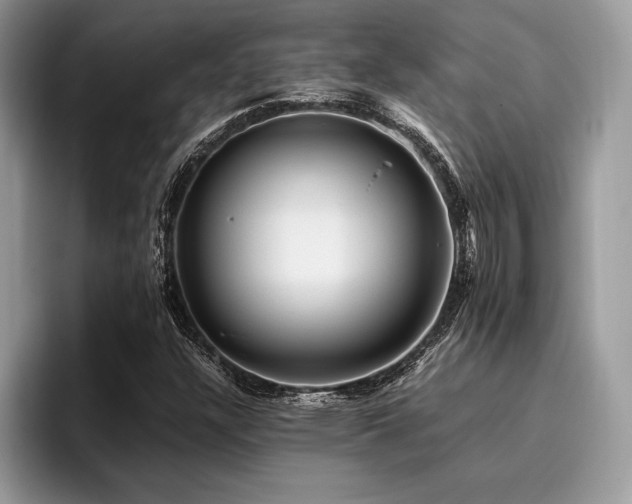 X0000096221304200801181442