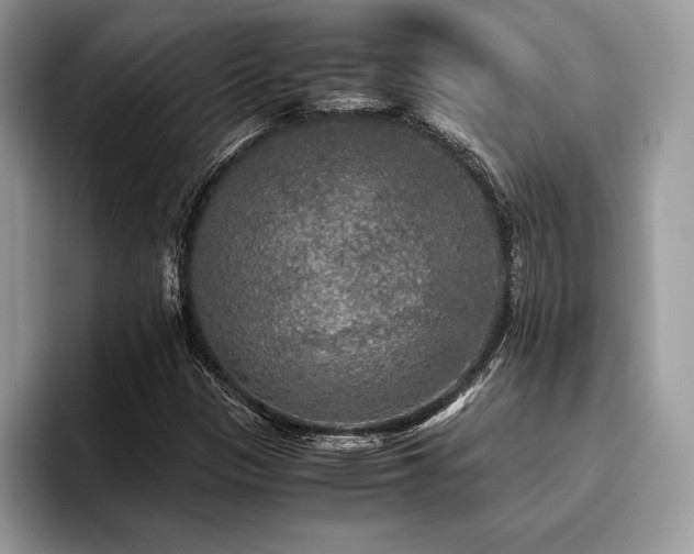 X0000096221305200801181442