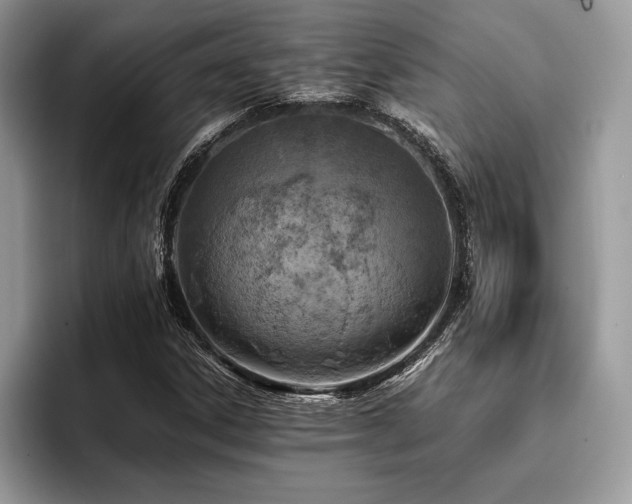 X0000096221306200801181442