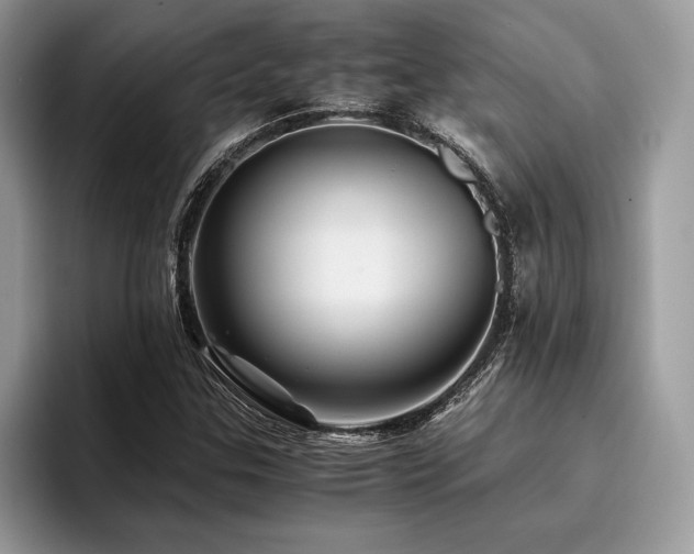 X0000096221307200801181442