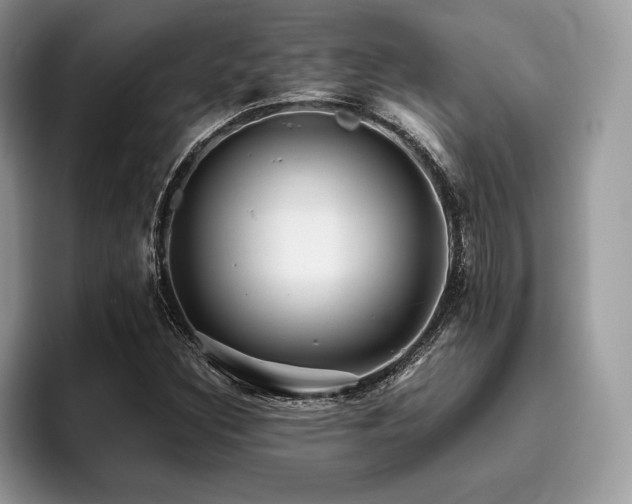 X0000096221308200801181442