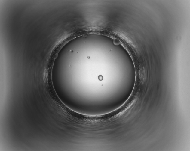 X0000096221309200801181442