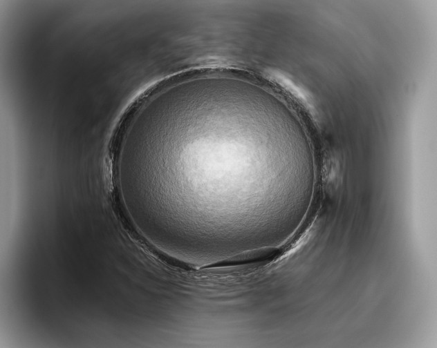 X0000096221310200801181442