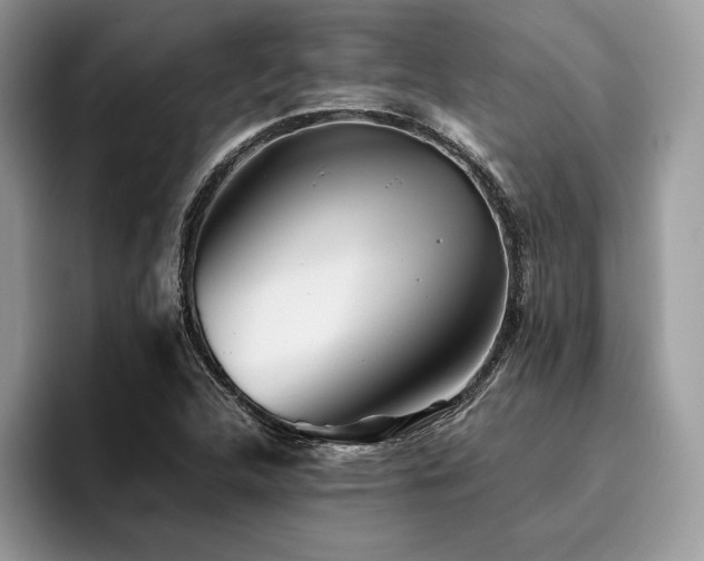 X0000096221312200801181442