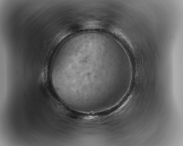 X0000096221313200801181442