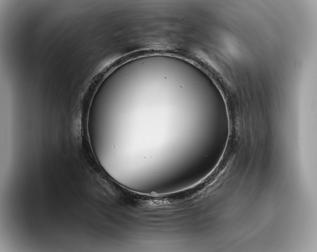 X0000096221315200801181442