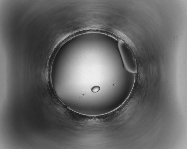 X0000096221316200801181442