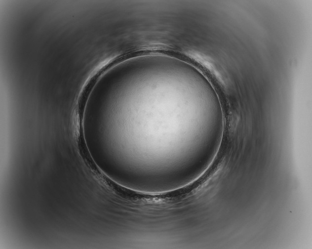 X0000096221317200801181442