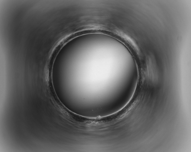 X0000096221318200801181442