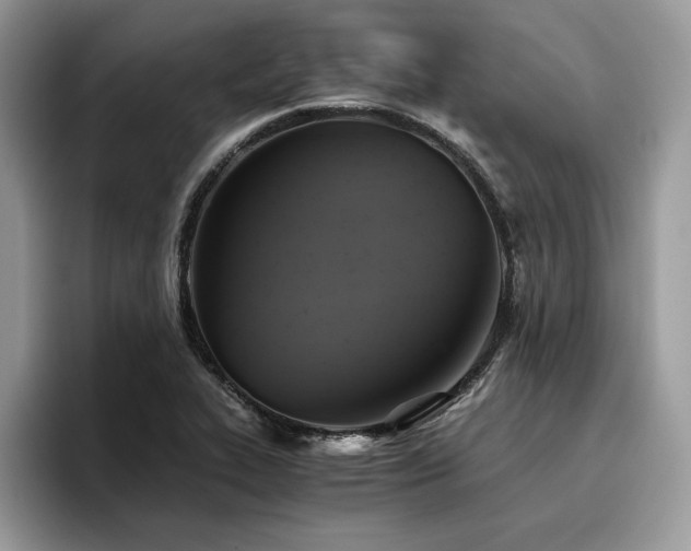 X0000096221319200801181442