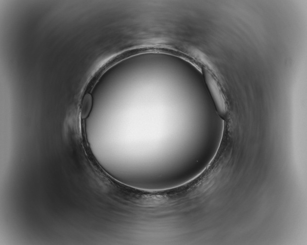 X0000096221320200801181442