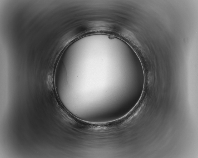 X0000096221321200801181442