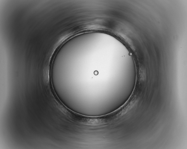 X0000096221322200801181442
