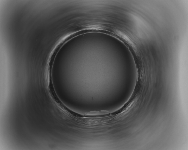X0000096221323200801181442