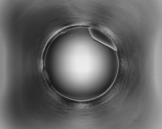 X0000096221324200801181442