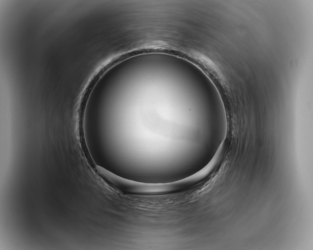 X0000096221326200801181442