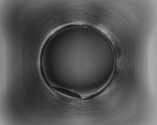 X0000096221327200801181442