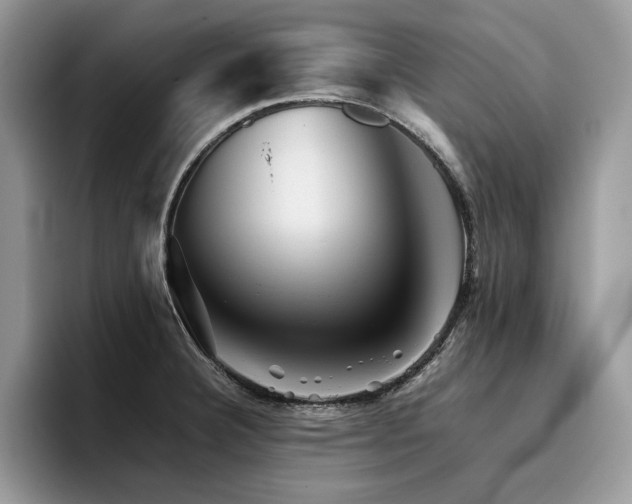X0000096221332200801181443