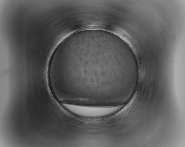 X0000096221333200801181443