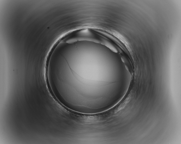 X0000096221334200801181443