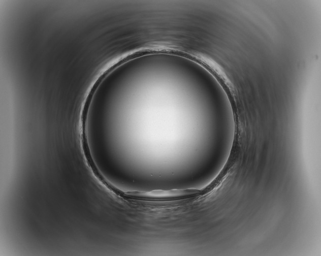 X0000096221335200801181443