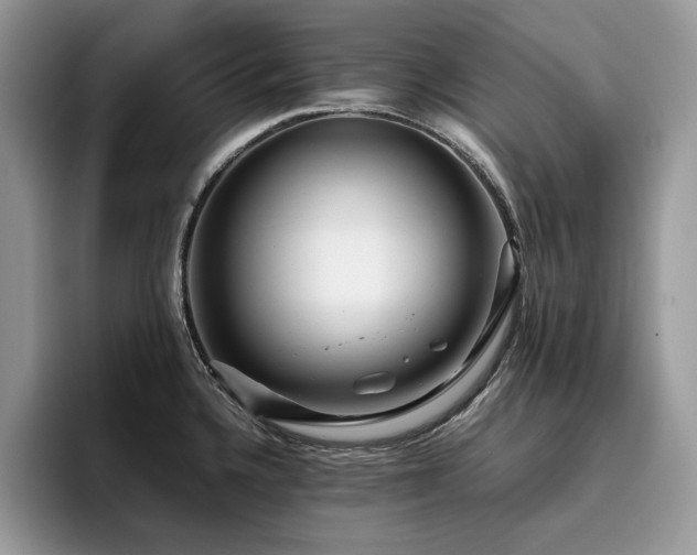 X0000096221336200801181443