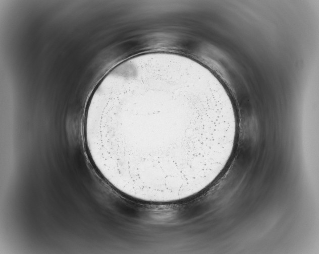 X0000096221338200801181443
