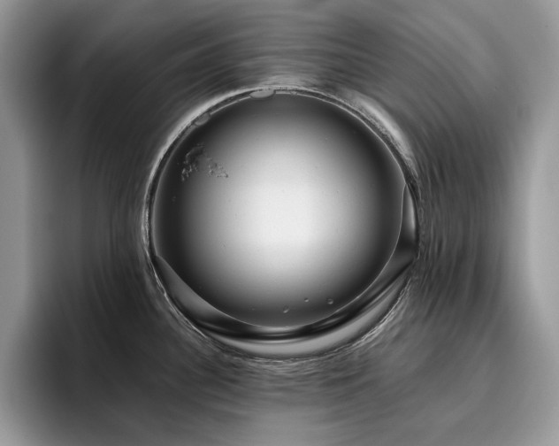 X0000096221340200801181443