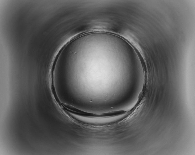 X0000096221341200801181443