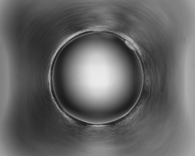 X0000096221343200801181443
