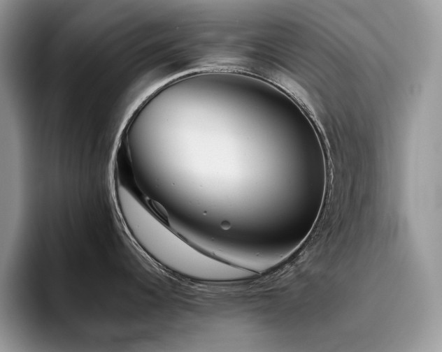 X0000096221344200801181443