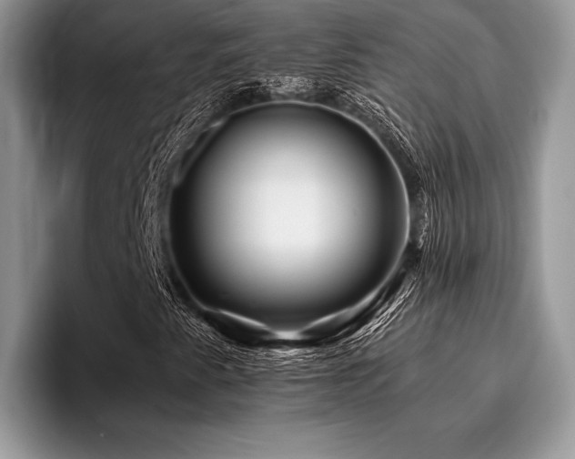 X0000096221345200801181442