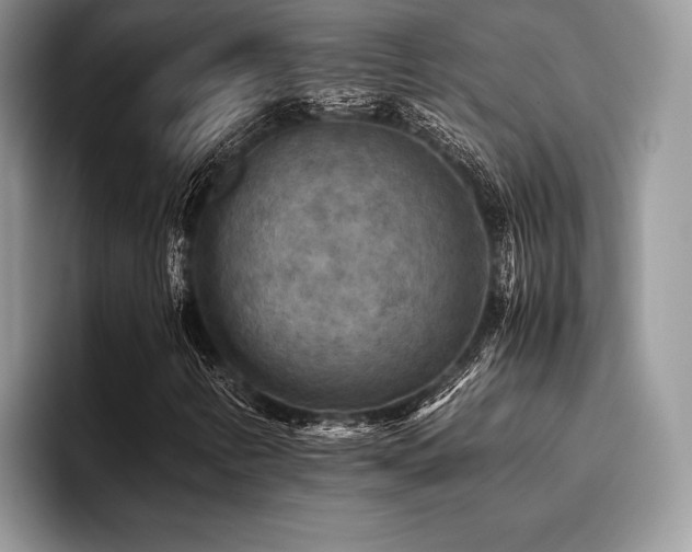 X0000096221346200801181442
