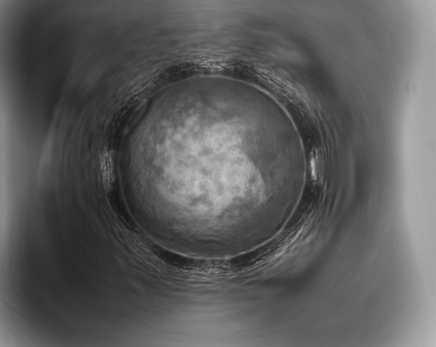 X0000096221347200801181442