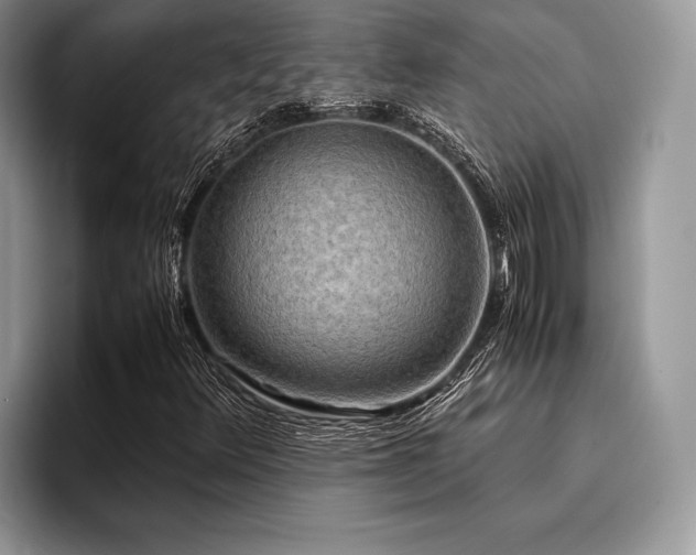 X0000096221348200801181442