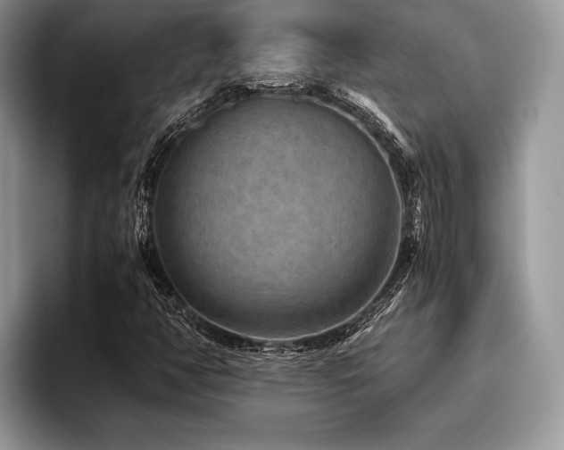 X0000096221350200801181442
